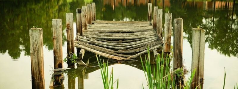 A green swamp in the style of Shrek.