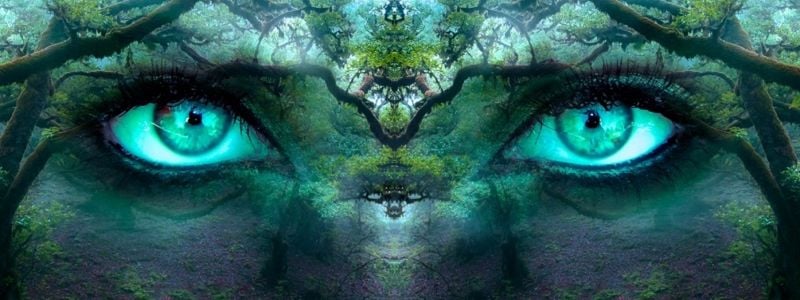 Large aqua eyes in an enchanted forest.