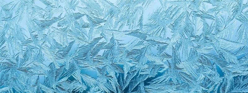 Frozen snowflakes.
