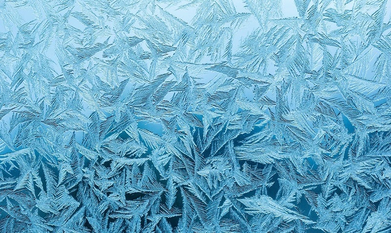 Frozen snowflakes.