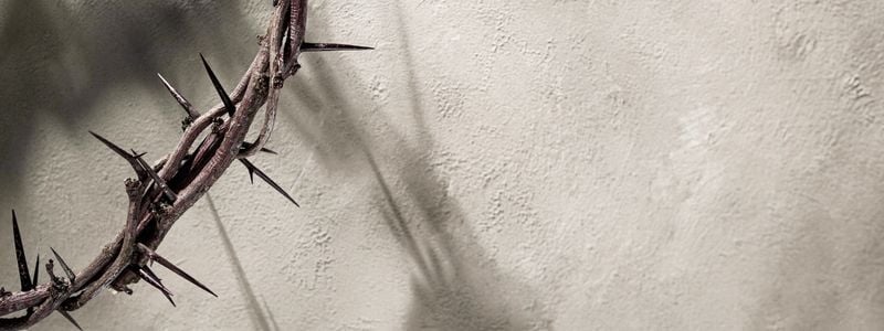 The corner of a crown of thorns on a beige background.