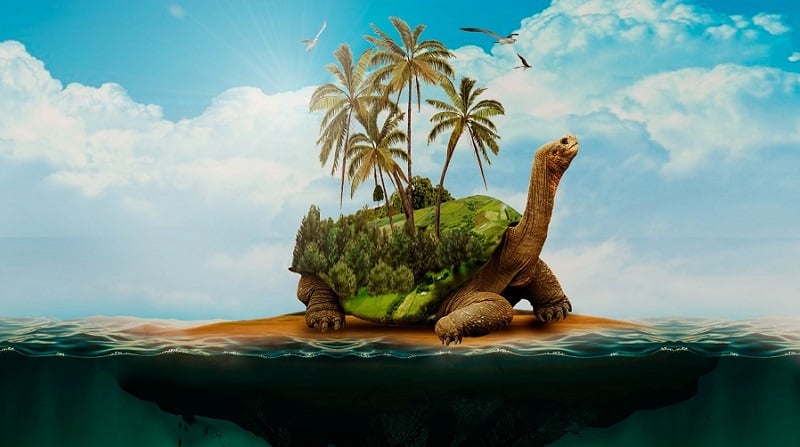An island on a turtle's back.