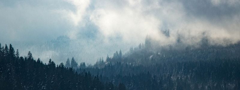 Misty sky and forest below.