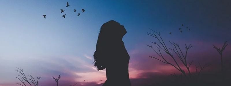 A silhouette of a woman looking at the night sky.