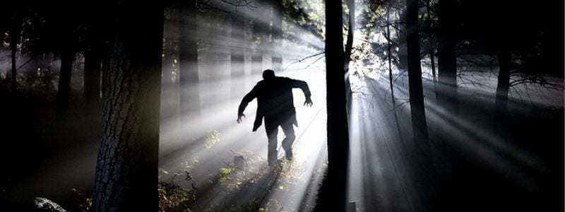 A monster running through the forest.