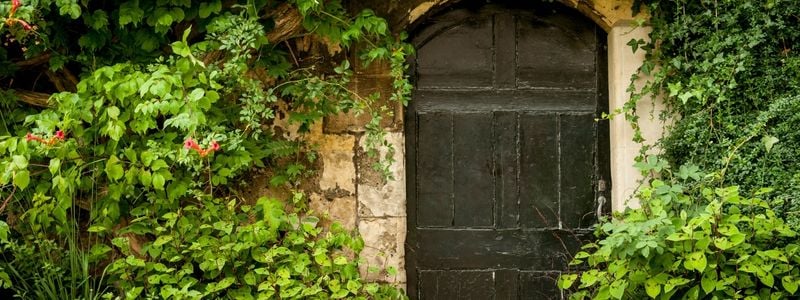 A secret garden door surrounded by plants.