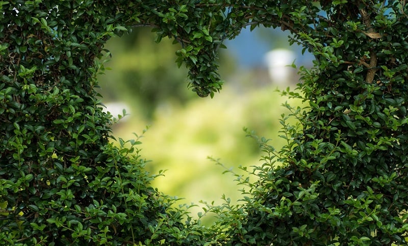 Heart shaped peek into a garden.