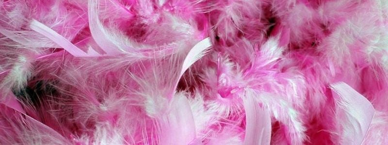 Pink feather boas.
