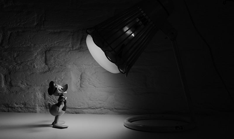 Donald Duck in the spotlight.