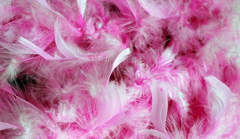 Pink feather boas.