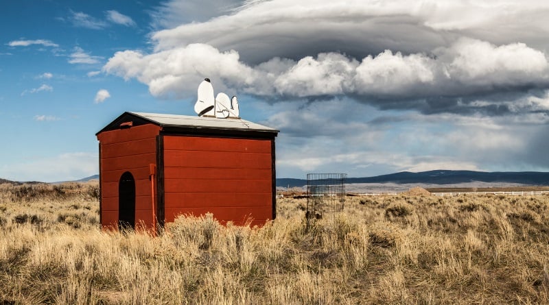 Snoopy taking a nap on the dog house.