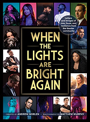 When the Lights Are Bright Again Book.