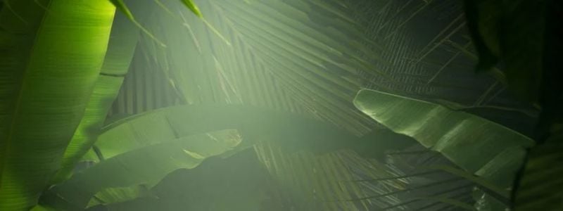 Green jungle leaves.