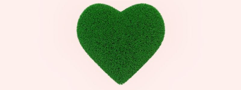 A grass heart on a pink background.