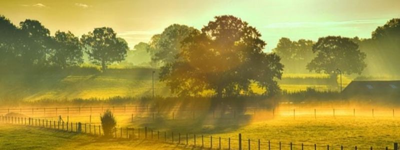 A golden lit English countryside.
