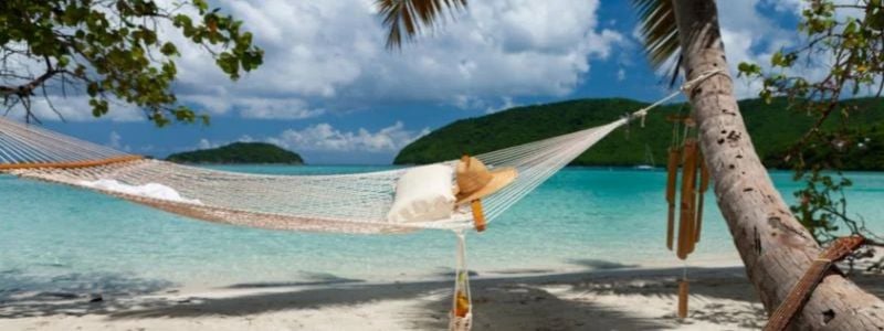 A beach with palm trees and a guitar.