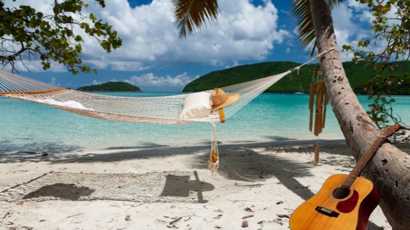 A beach with palm trees and a guitar.