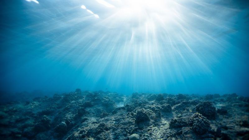 The ocean with sunlight shining through.