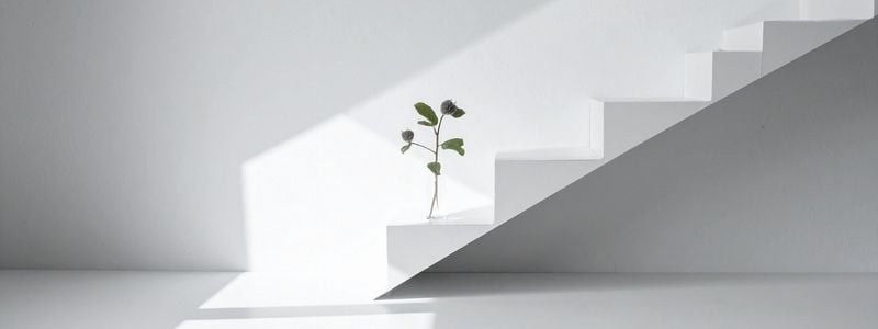 A growing plant on the stairs.