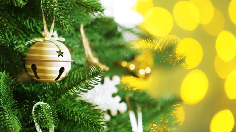 A peppy Christmas tree with a yellow background.